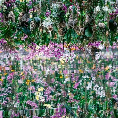 teamLab Borderless