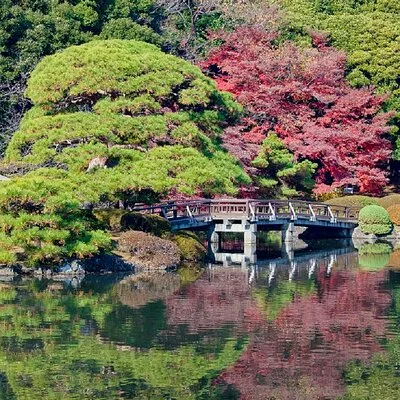 Shinjuku Gyoen National Garden